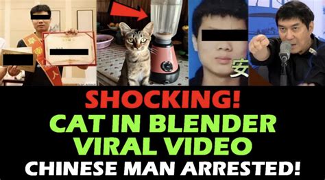 cat in blender twitter full video|The Cat In Blender Video: A Disturbing Tale Of。